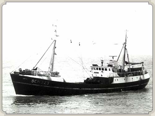 SCH 323