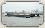 ariev