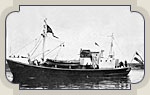 Stern 1